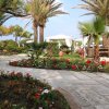 Giardino con vialetto, fiori, e palme.