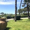Un giardino con prato verde, alberi e un grande vaso di terracotta.