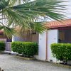 Un bungalow con tetto rosso, piante e una palma in primo piano.