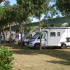 Camper parcheggiati tra gli alberi.