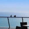 Terrazza con vista sul mare, sedie nere e due uccelli sulla ringhiera.