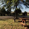 Tavoli da picnic di legno sotto grandi alberi in un parco soleggiato.