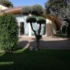 Giardino con albero sagomato e edificio circolare.