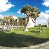 Giardino verde con alberi e un edificio a destra.