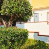 Giardino con alberi e muri bianchi di una casa.