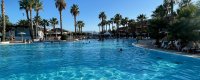 Ampia piscina contornata da palme, con persone che nuotano.