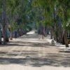 Camping Villaggio Cigno Bianco (OG) Sardegna