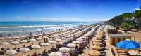 Spiaggia con file di ombrelloni e vegetazione.