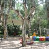 Parco giochi con alberi e giochi colorati.