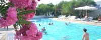 Villaggio Camping Mimosa - Ricadi Capo Vaticano Calabria