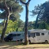 Camper parcheggiati in un'area boschiva.