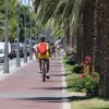 Pista ciclabile con palme e biciclette.