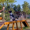Uomo addestra un cane su una passerella in un parco.