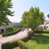 Strada residenziale con alberi e auto parcheggiate.