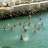 Persone nuotano in un'area di mare con un muretto di sassi sullo sfondo.