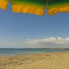 Spiaggia sabbiosa con ombrellone verde e giallo, mare azzurro e cielo sereno.