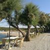 Tavoli e sedie all'aperto lungo un viale alberato, vista sul mare e sulla spiaggia in lontananza.