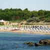 Spiaggia con file di ombrelloni blu e bianchi, vegetazione e un chiosco sullo sfondo.