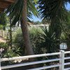 Un giardino con piante verdi e una recinzione bianca sotto un cielo blu.