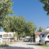 Area di campeggio con camper e alberi.