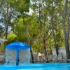 Piscina con getto d'acqua a fungo, circondata da alberi e sdraio.