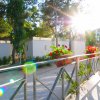 Raggio di sole tra alberi e fiori rossi su un balcone di legno.