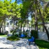 Panchine blu e aiuola con alberi verdi in un parco ombreggiato.