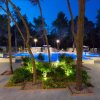Piscina illuminata di notte con alberi intorno e vegetazione decorativa.