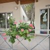 Facciata di negozi con fiori rosa in primo piano e cartelli 