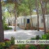 Mini suite in un ambiente boschivo con vialetti e vegetazione.