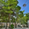 Un cortile alberato con fili di lampadine sospese e un edificio sullo sfondo.