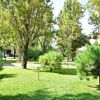 Giardino verde con alberi e arbusti sotto il sole.