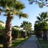 Un viale con palme e lampioni, fiancheggiato da edifici bassi e vegetazione.