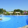 Vista della piscina con spruzzi d'acqua e piante, circondata da sentieri piastrellati.