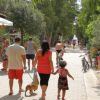 Famiglia passeggia con un cane su un vialetto alberato.