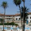 Resort con piscina, palme e sedie a sdraio.