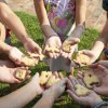 Mani di bambini che mostrano biscotti fatti in casa.