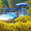 Piscina affollata con ombrelloni blu e fiori gialli in primo piano.