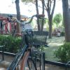Biciclette parcheggiate vicino a un parco giochi, con alberi e altalene.
