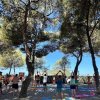 Gruppo di persone fa yoga sotto alberi alti in un parco.