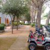 Cortile con alberi, biciclette e un quad giocattolo.