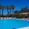 Piscina all'aperto circondata da palme e lettini, con cielo blu limpido.