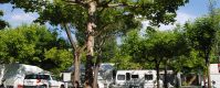 Camping Dal Pino - Marina di Massa Toscana