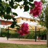 Giardino con fiori rosa, gazebo e edificio sullo sfondo.