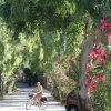 Strada alberata con ciclista.