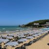 Ombrelloni su una spiaggia sabbiosa.