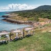 Spiaggia con gazebo e lettini lungo una costa verde.