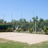 Campo da beach volley su sabbia con rete e piante intorno.