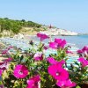 Una spiaggia con ombrelloni a righe blu e bianche e fiori rosa in primo piano.