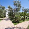 Vialetto in giardino con palme e ulivi, conduce a un edificio bianco.